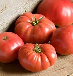 David's Garden Seeds Tomato Beefsteak German Johnson SL3815 (Red) 50 Non-GMO, Organic, Heirloom Seeds