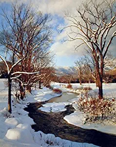 Scenery Winter Stream with Snow Landscape Wall Decor Art Print Poster (16x20)