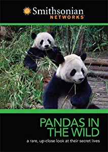 Smithsonian Channel: Pandas in the Wild