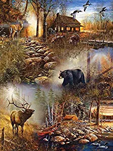 Diamond Painting Kits for Adults Kids, 5D DIY Animal Diamond Art Accessories with Full Drill for Home Wall Decor - 11.8×15.7inches