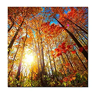 Pyradecor Large Canvas Prints Wall Art Last Hint of Sunset Pictures Paintings for Living Room Bedroom Home Decorations Modern Stretched and Framed Nature Landscape Artwork