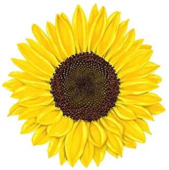 Sunflower & Wildflower Sticker - Big Vinyl Decal (4 Inch) | Large Waterproof for HydroFlask Water Bottle Laptop Notebook Scrapbooking Journal or Car | Cute Floral Daisy Flowers