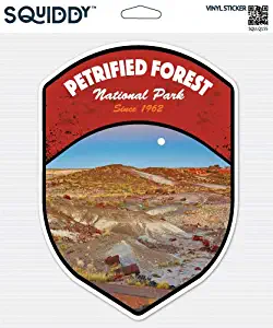 Squiddy Petrified Forest National Park - Vinyl Sticker Decal for Phone, Laptop, Water Bottle (3