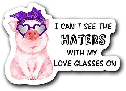 I Can't See The Haters with My Glasses On Pig Vinyl Decal Sticker | Cars Trucks Vans Walls Laptops Cups | Full Color Printed | 5.5 Inch | KCD3026